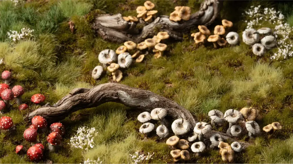 Forest-Mushrooms_Diorama_1600x900-100.webp