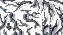 Gnarled-Branches_Detalhe-2_1600x900-100.webp