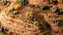 Barrel-Cacti_Diorama_1600x900-100.webp