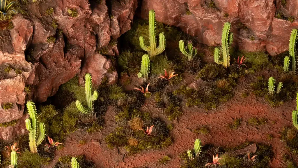 Saguaro-Cacti_Diorama_1600x900-100.webp