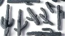Saguaro-Cacti_Detalhe-2_1600x900-100.webp