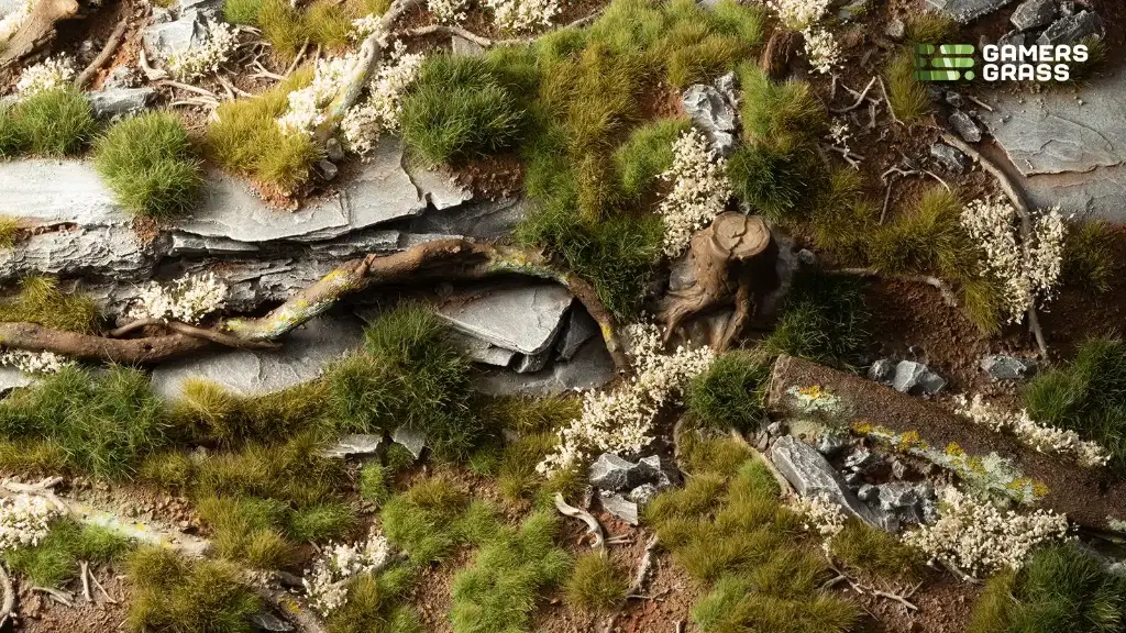 green_starter_box_diorama_1600x900.webp