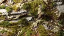 green_starter_box_diorama_1600x900.webp