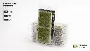green-4mm-wild_blister_1600x900.webp