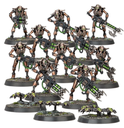  GUERRIERS NÉCRONS
