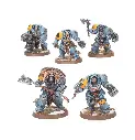 99120101441_SpaceWolvesWolfGuardTerminators1.webp