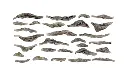 image_2025-08-16_100310821.webp
