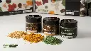 basing-pigments-core-set_group-pigments_3_1600x900_converted.webp