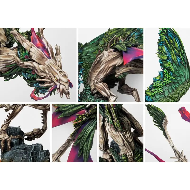 coill-draic (2).webp