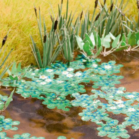 Nénuphar