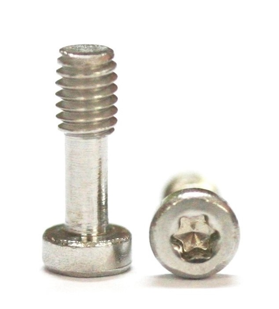 Vis M2.5x7.5mm Torx T6 Spécial pour carrosserie Carrera avec tournevis 