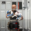 Gentle Giant - Star Wars 1/6 - Captain Rex Bust