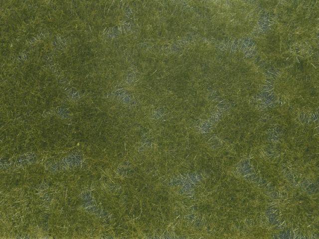 Foliage de couverture végétale