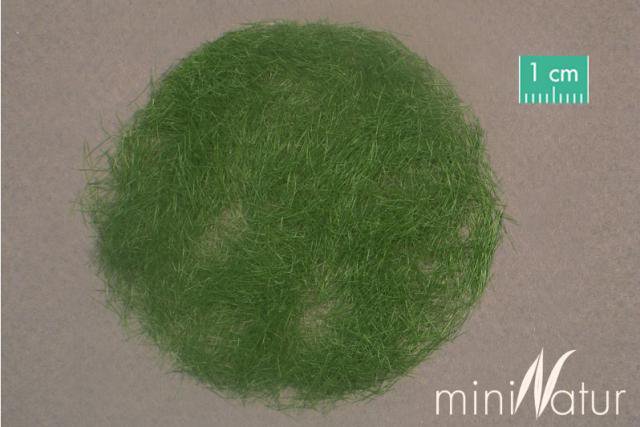 Flocage - Vert Foncé été