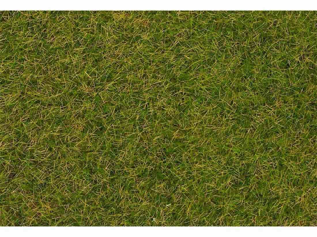 [FAL 170231] FIBRES DE FLOCAGE HERBES SAUVAGES 