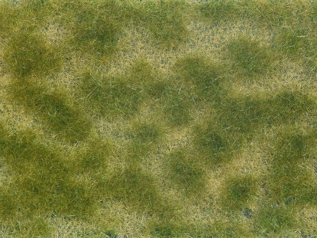 [NOC 07253] Noch : Foliage de couverture Végétale Vert/Beige 12x18cm