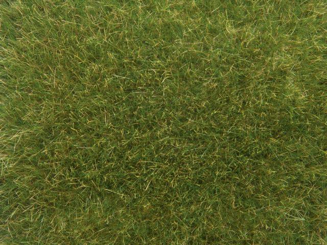 Noch : Herbes sauvages Vert foncé│9mm  