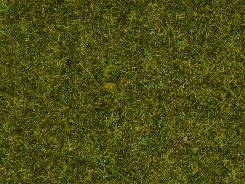 Noch : Herbes sauvages Pré│9mm
