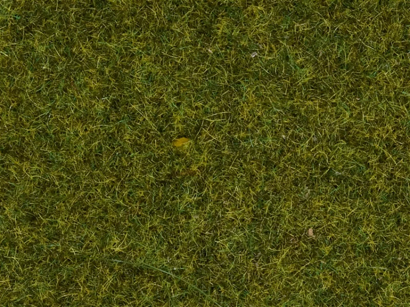 Noch : Herbes Pré│4mm