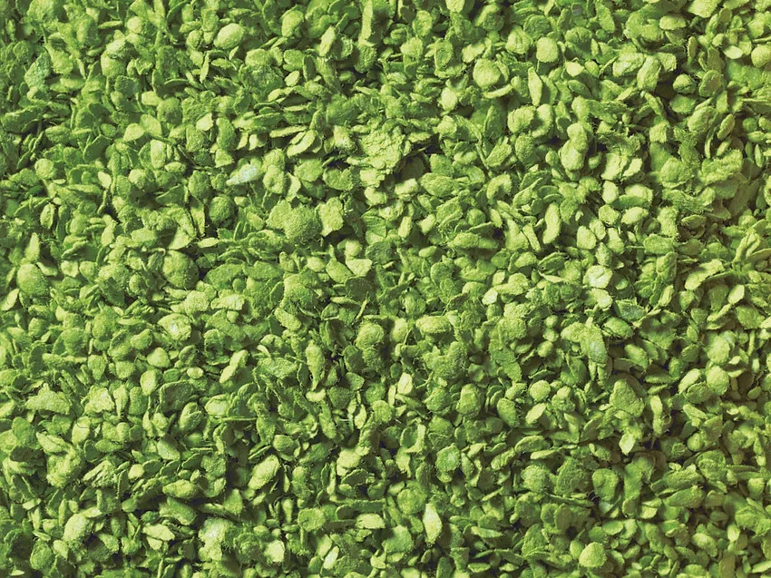 [NOC 07142] Noch : Feuilles │ Vert Clair