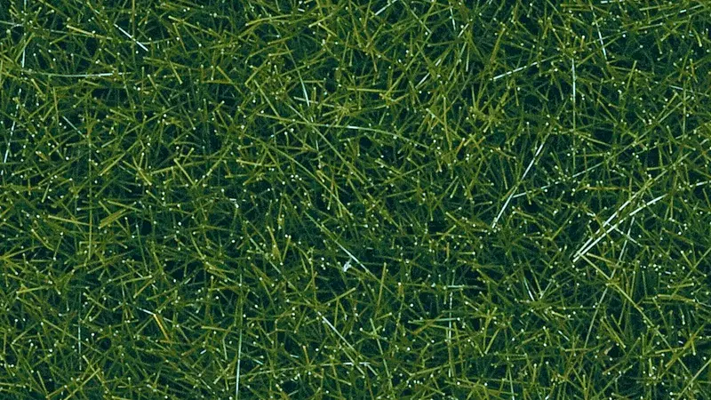 Noch : Herbes sauvages