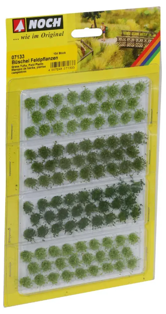 Noch : Touffes d'herbes plantes agricoles