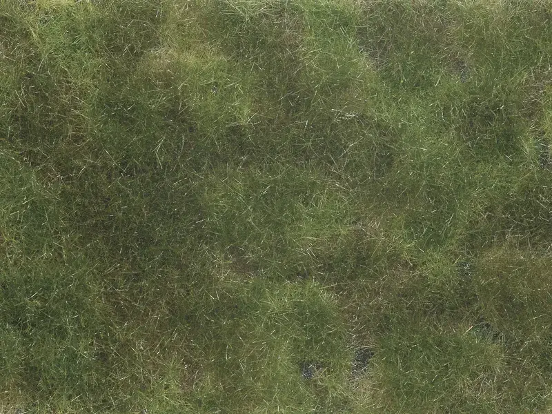 Noch : Foliage de couverture végétale vert olive