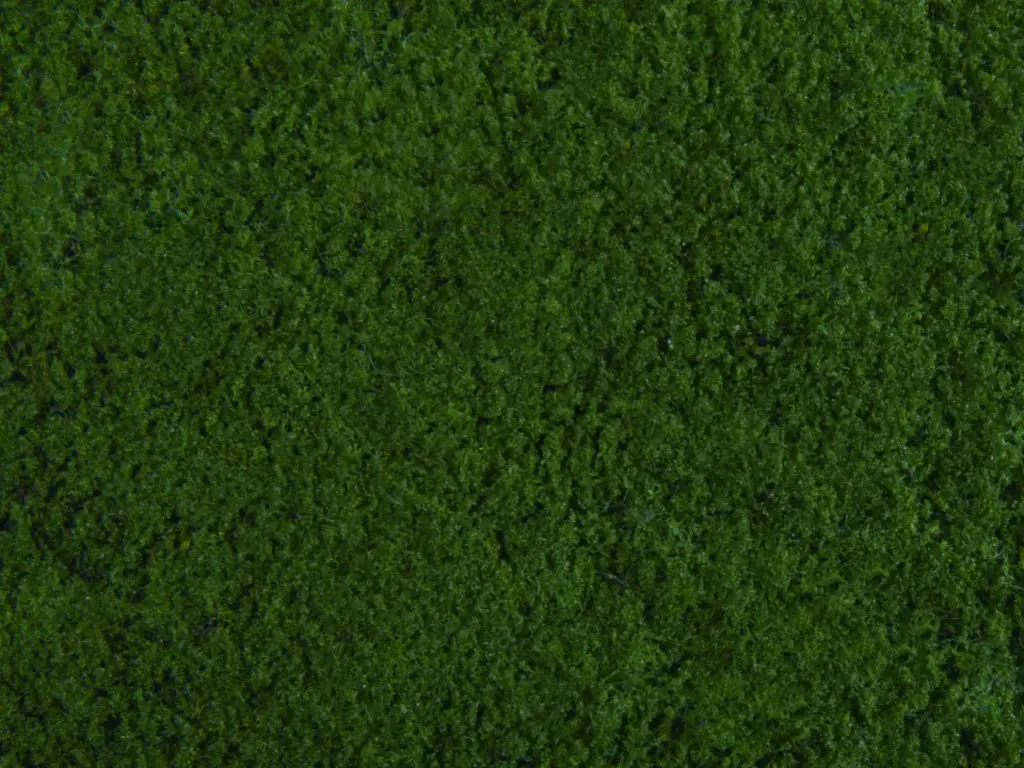 Noch : Foliage, vert foncé 20x23cm