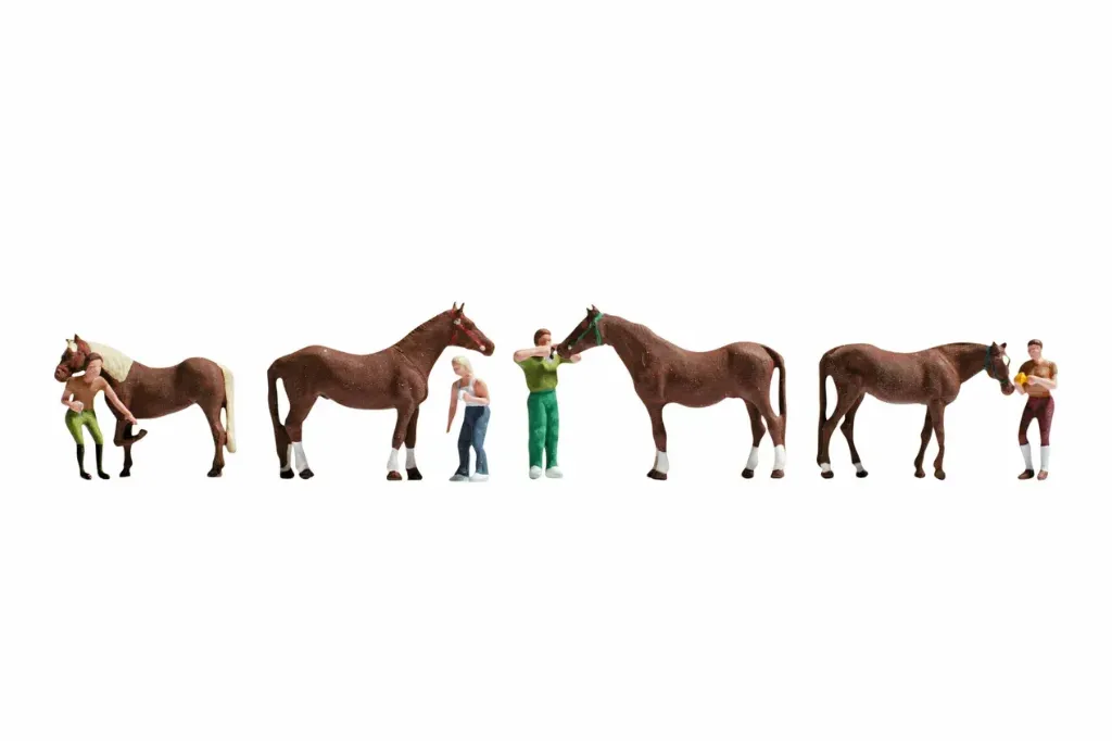 Noch : Aseo des caballos