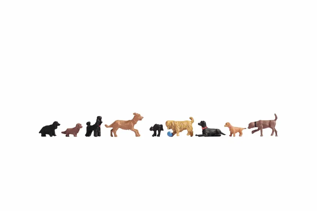 Noch : Chiens