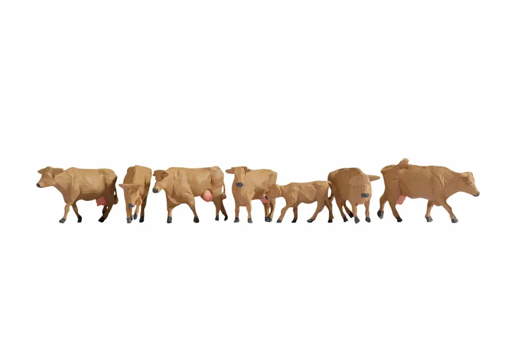 Noch : Vaches, brunes