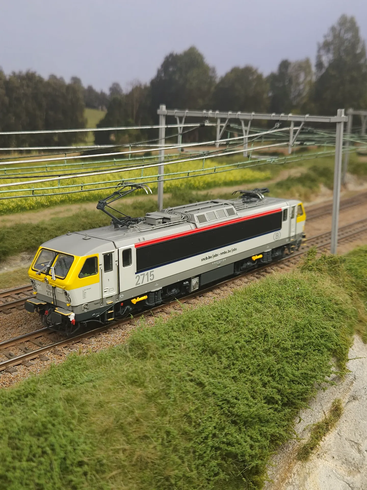 LSModel : Locomotive Electrique (#2715) SNCB-NMBS - "New Look" │Continu Analogique [Précommande]