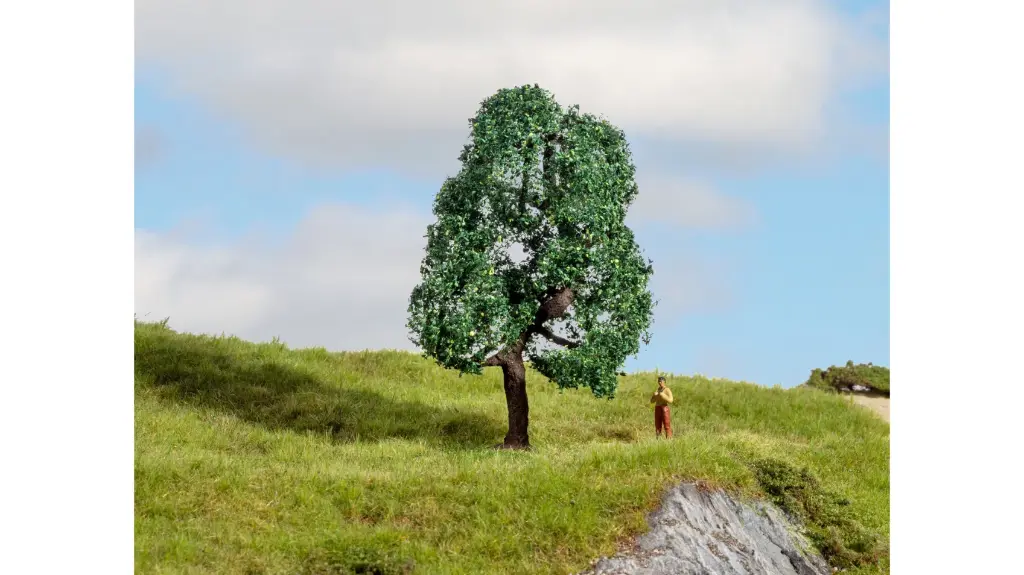 [NOC 20111] Noch : Chêne 10cm