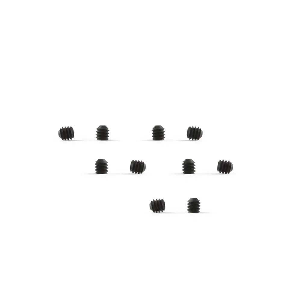 [NSR 4865] NSR: Vis M2 x2 Pour Stopper 