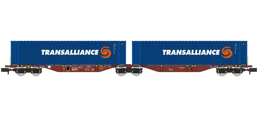 REE : Wagon Sggmrss 90 Touax 2 conteneurs 45' Transalliance SNCB-NMBS