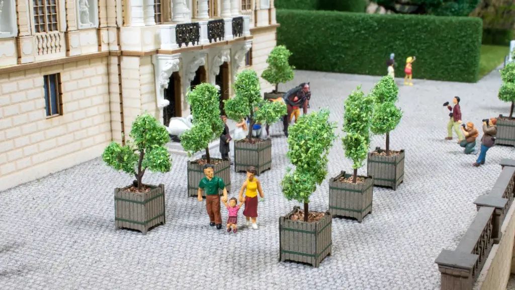 Noch : Arbres D'ornements en bacs 