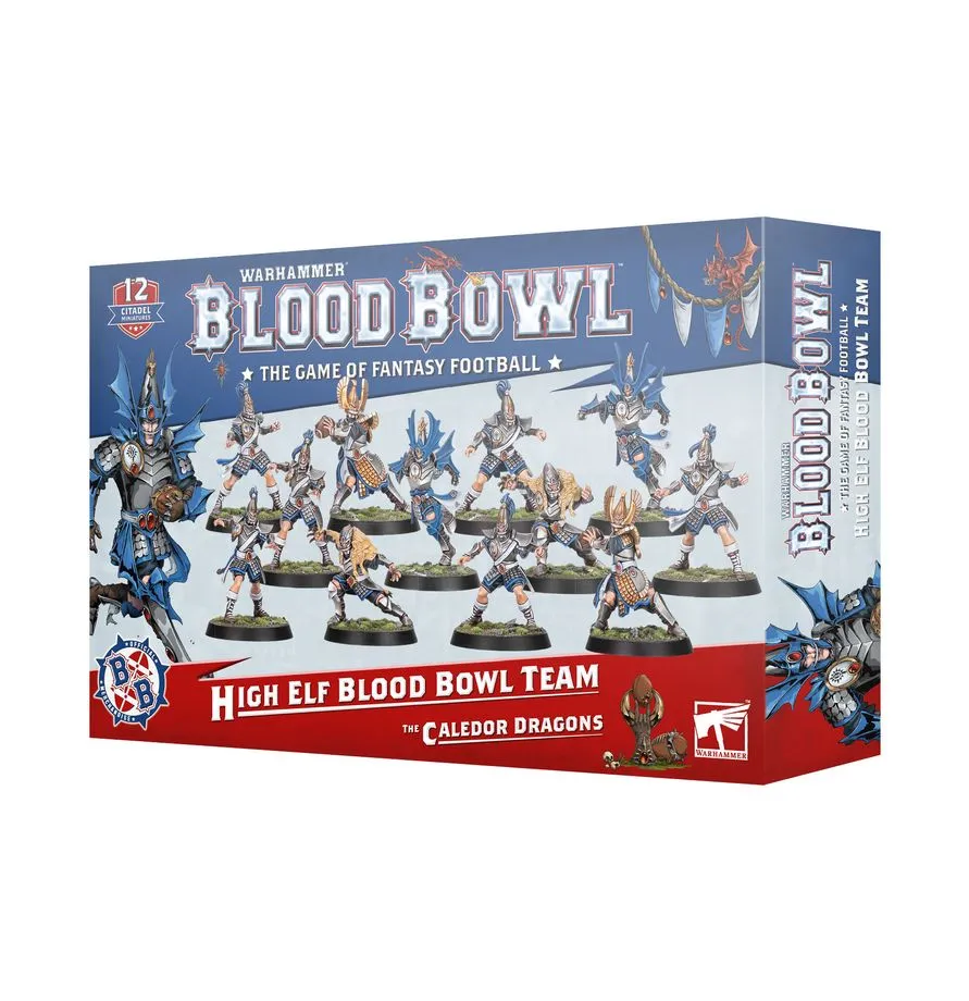 Blood Bowl : High Elf Blood Bowl Team "The Caledor Dragons" │ The Game of Fantasy Football