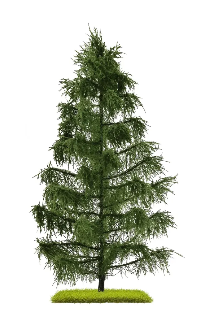 [BUS 3807] Busch : Épicéa │ 210 mm