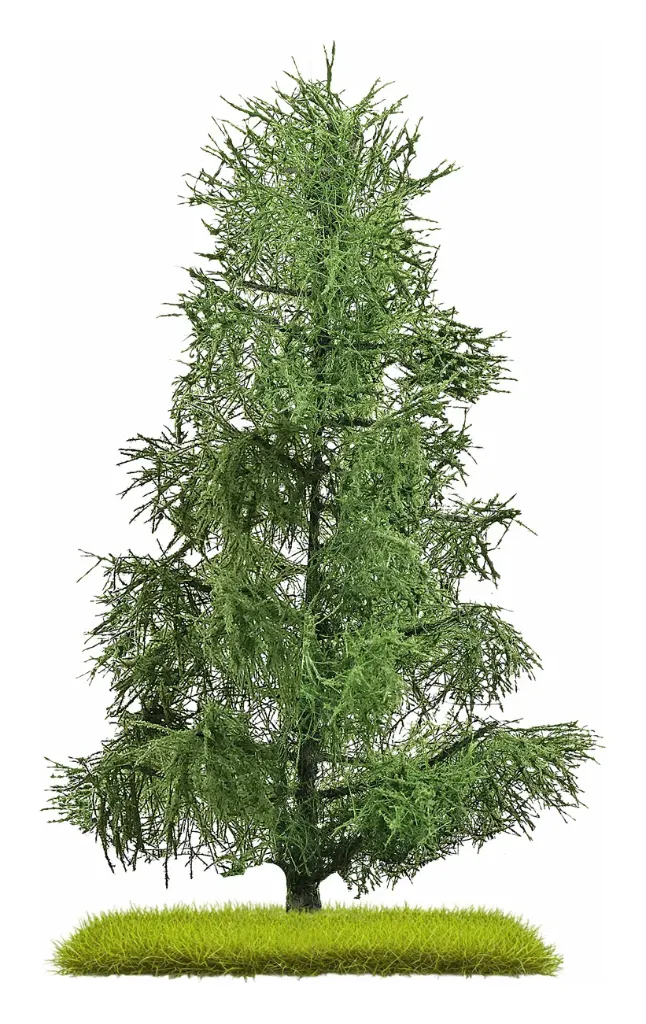 Busch : Épicéa │ 140 mm