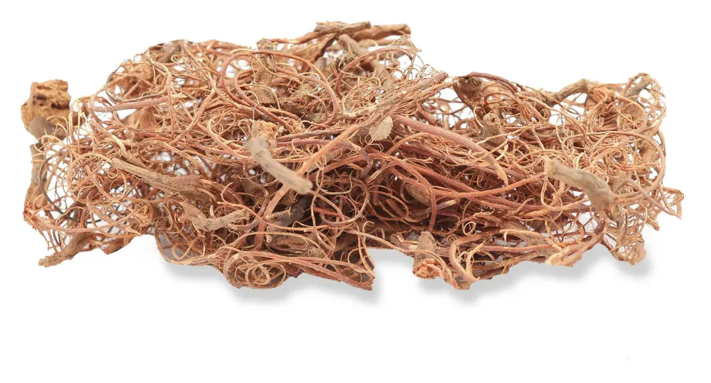 [BUS 3700] Busch : Sous-bois