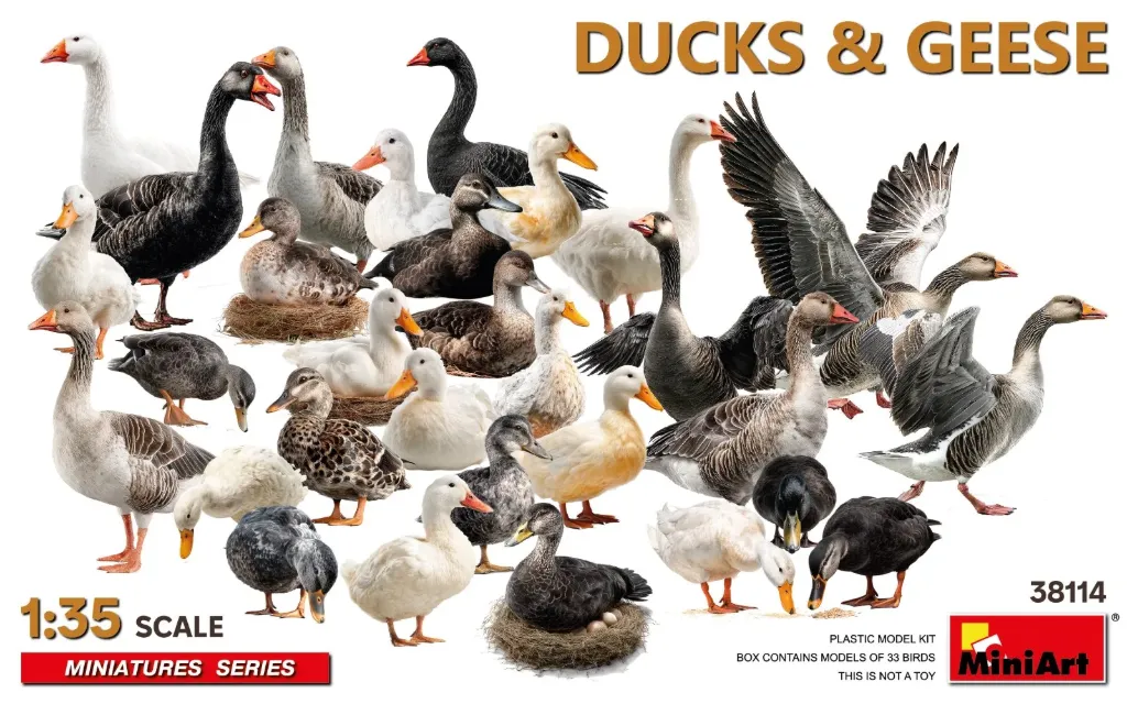 Miniart : Oies et Canards (1/35)