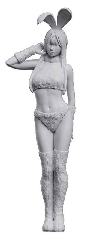 [HAS 52476] Hasegawa : Bunny Cosplayer (1/12)