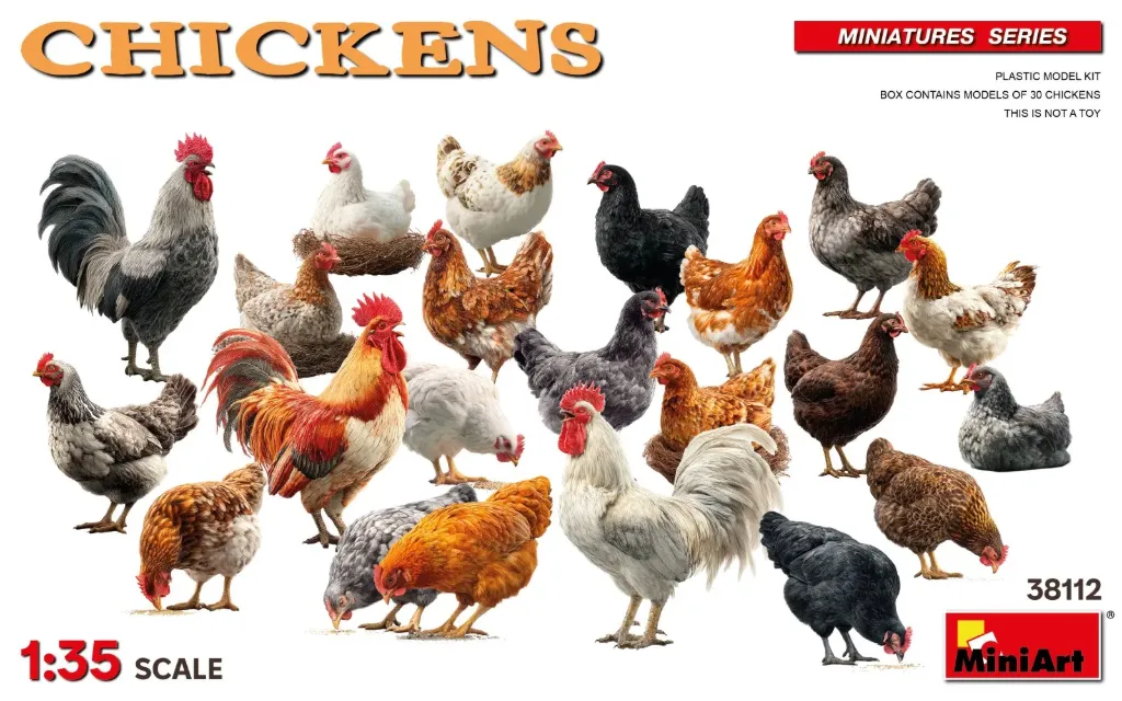 MiniArt : Chickens – Poules & Coques de Basse-cour • Échelle 1/35 │ Réf. 38112
