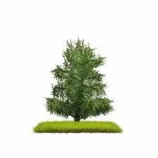 Busch : Sapin 80mm 2pcs