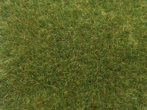 [NOC 07118] Noch : Herbes sauvages Vert foncé│9mm  