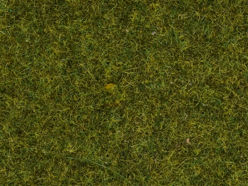 [NOC 08361] Noch : Herbes Pré│4mm
